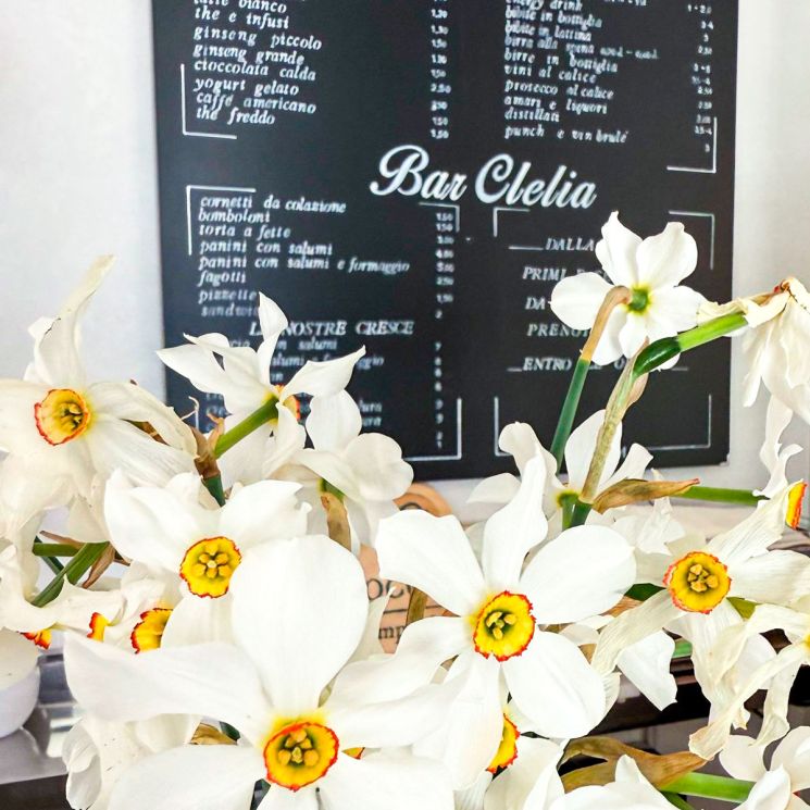 Bar Valsorda: il listino e i narcisi