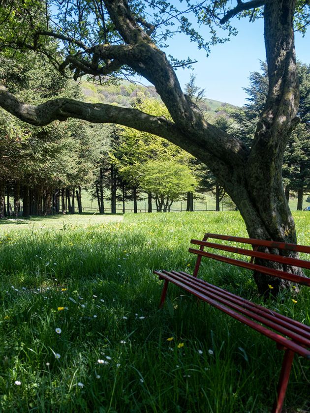 camping Valsorda: immagini del campeggio e delle piazzole